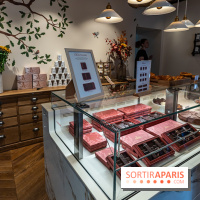 La chocolaterie et salon de thé Jardin Sucré à Dampierre - 78 -  A7C3658