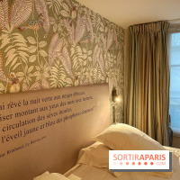 Arthur Rimbaud : l'hôtel littéraire - IMG 4893