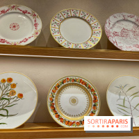 Institut Bernardaud - porcelaine