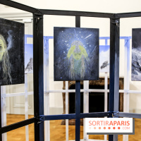 Ylva Snöfrid, exposition Cosmos et Vanitas à l'Institut suédois, nos photos - IMG 6408