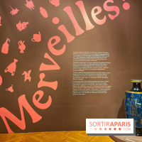 Merveilles - Sèvres - IMG 5095