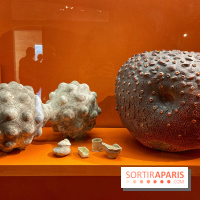 Merveilles - Sèvres - IMG 5132