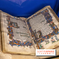 Figures du fou au musée du Louvre : l'exposition loufoque à découvrir - DSC 1334