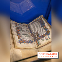 Figures du fou au musée du Louvre : l'exposition loufoque à découvrir - DSC 1335