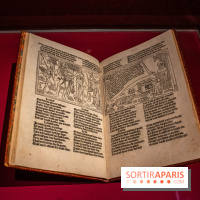 Figures du fou au musée du Louvre : l'exposition loufoque à découvrir - DSC 1362