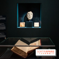 Figures du fou au musée du Louvre : l'exposition loufoque à découvrir - DSC 1369