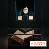 Figures du fou au musée du Louvre : l'exposition loufoque à découvrir - DSC 1370