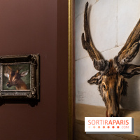 Les photos de l'exposition Oudry, peinte de courre au Château de Fontainebleau