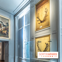 Les photos de l'exposition Oudry, peinte de courre au Château de Fontainebleau