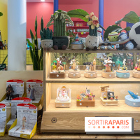 La picorette - nos photos - image00030