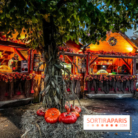 Halloween au Parc Astérix 2024 : Peur sur le Parc et ses nocturnes - IMG 3750