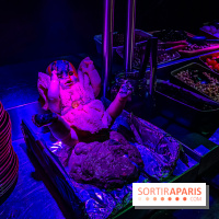 Halloween au Parc Astérix 2024 : Peur sur le Parc et ses nocturnes - IMG 3770