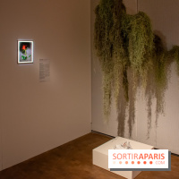 Exposition Soft Skills de Mohamad Abdouni à Lafayette Anticipations
