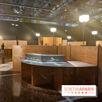 La Grotte Chauvet à la Cité des Sciences, nos photos  - image00016