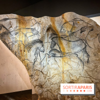 La Grotte Chauvet à la Cité des Sciences, nos photos  - image00010