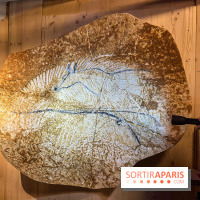 La Grotte Chauvet à la Cité des Sciences, nos photos  - image00005