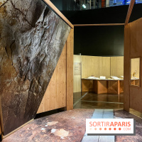 La Grotte Chauvet à la Cité des Sciences, nos photos  - image00002