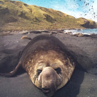 World Press Photo 2010