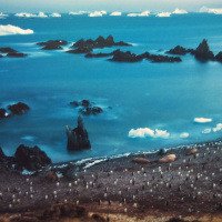 World Press Photo 2010