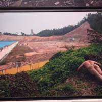 World Press Photo 2010