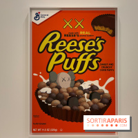 Exposition Pop Forever  - IMG 2771