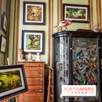 Benjamin Lacombe, nos photos de son exposition chez Deyrolle à Paris - DSC05548