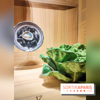 Le trompe-l'œil, une exposition qui nous fait tourner la tête se dévoile au musée Marmottan-Monet - IMG20241016150229