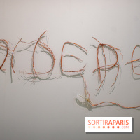 Exposition Praesentia de Myriam Mihindou au Palais de Tokyo - DSC 1614