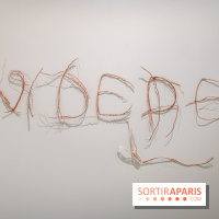 Exposition Praesentia de Myriam Mihindou au Palais de Tokyo - DSC 1615