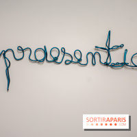 Exposition Praesentia de Myriam Mihindou au Palais de Tokyo - DSC 1619