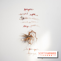 Exposition Praesentia de Myriam Mihindou au Palais de Tokyo - DSC 1621