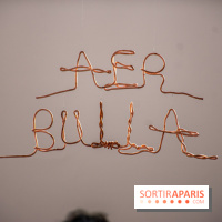 Exposition Praesentia de Myriam Mihindou au Palais de Tokyo - DSC 1627