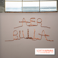 Exposition Praesentia de Myriam Mihindou au Palais de Tokyo - DSC 1631