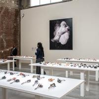 Exposition Praesentia de Myriam Mihindou au Palais de Tokyo - DSC 1637