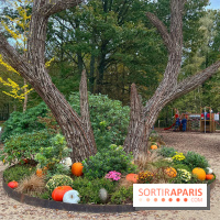 Les Esprits de la Forêt - IMG 5591