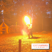 Les Esprits de la Forêt - IMG 5612