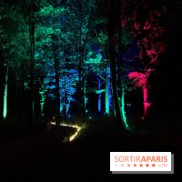 Les Esprits de la Forêt