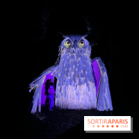 Les Esprits de la Forêt - IMG 5671