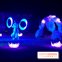 Les Esprits de la Forêt - IMG 5701