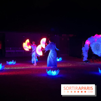 Les Esprits de la Forêt - IMG 5711