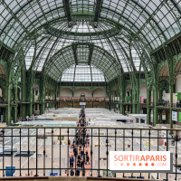 Art Basel 2024 au Grand Palais - image00033