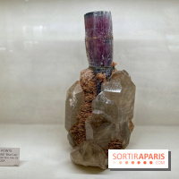 Romance in the Stone