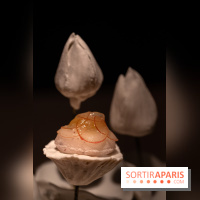 Hakuba, le restaurant japonais du Cheval Blanc Paris - les photos