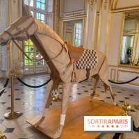 La faune en plis - nos photos - image00029