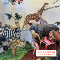 La faune en plis - nos photos - image00025