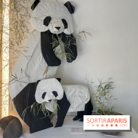 La faune en plis - nos photos - image00021