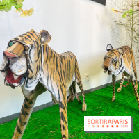 La faune en plis - nos photos - image00023