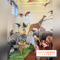 La faune en plis - nos photos - image00024