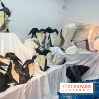 La faune en plis - nos photos - image00019