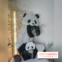 La faune en plis - nos photos - image00020